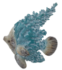 Fish Product