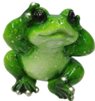 Frog Product