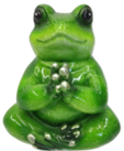 Frog Product