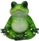 Frog Product