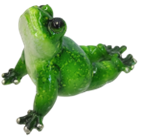 Frog Product