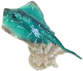 Manta Ray Product