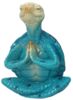 Turtle Product