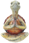 Turtle Product