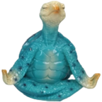 Turtle Product