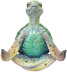 Turtle Product