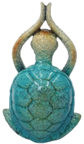 Turtle Product