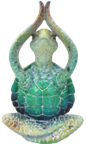 Turtle Product