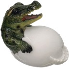 Crocodile Product