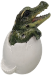 Crocodile Product