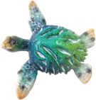 Turtle Product
