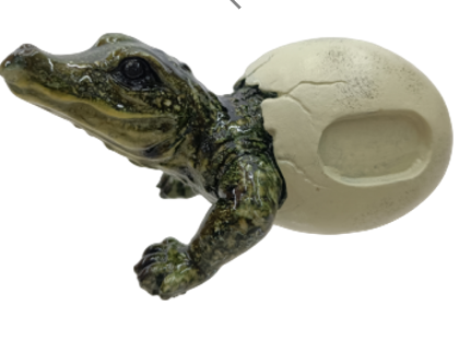 Crocodile Product