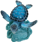 Turtle Product