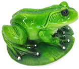 Frog Product