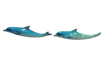 Dolphin Product
