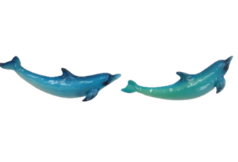 Dolphin Product