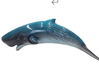 Whale Product