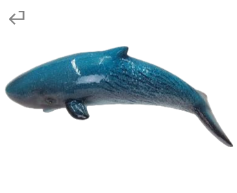 Whale Product