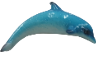 Dolphin Product