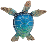 Turtle Product