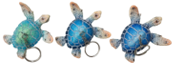 Turtle Product