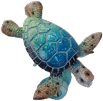 Turtle Product