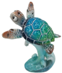 Turtle Product