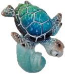 Turtle Product