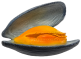 Fish Product