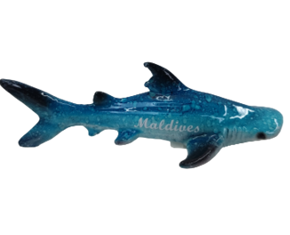 Shark Product