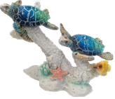 Turtle Product