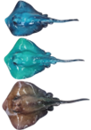 Manta Ray Product