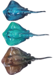 Manta Ray Product