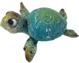 Turtle Product