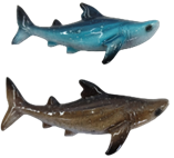 Shark Product