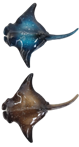 Manta Ray Product