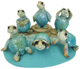 Turtle Product