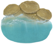 Turtle Product