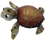 Turtle Product