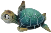 Turtle Product