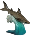 Shark Product