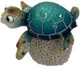 Turtle Product