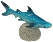 Shark Product