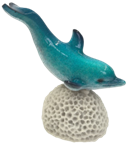Dolphin Product