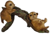 Meerkat Product