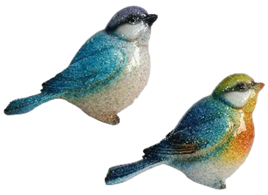 Bird Product