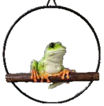 Frog Product
