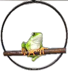 Frog Product