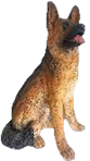 Dog Product