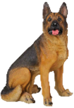 Dog Product